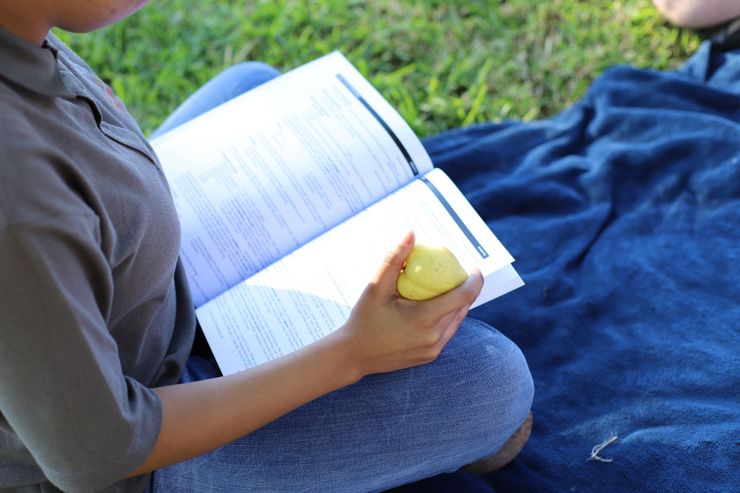 a person sitting on a blanket reading a book and holding an apple